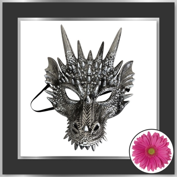 Other - 3/$10, 5/$15 - Silver Dragon Skull Mask – Halloween Costume Accessory